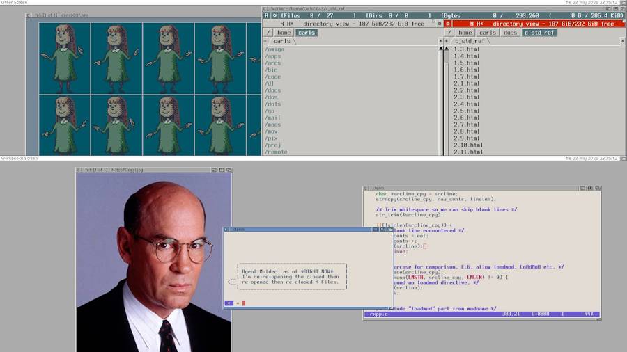 AmiWM Screenshot